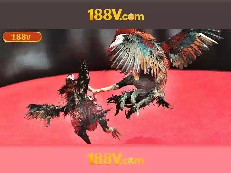 bảng so sánh tuân thủ PAGCOR 2026